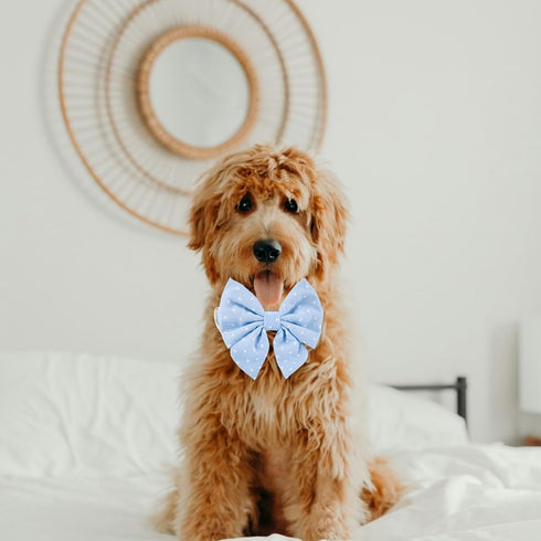 Adjustable Pet Bow Tie and Dog Collar for Small Medium Large Dogs, Cute Lady Bow and Dog Collars, Blue Polka Dots, Large