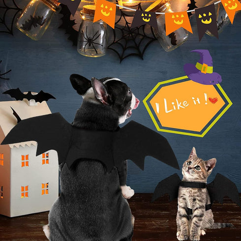 Halloween Costumes - Bat Wings for Small, Medium & Large Dogs & Cats | Funny Pet Apparel, Cosplay Clothes (M)