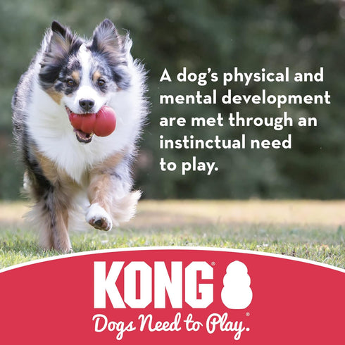 KONG Puppy Ball w/Hole, Soft & Durable Activity Ball for Medium/Large Puppies - Dog Toy for Healthy Exercise