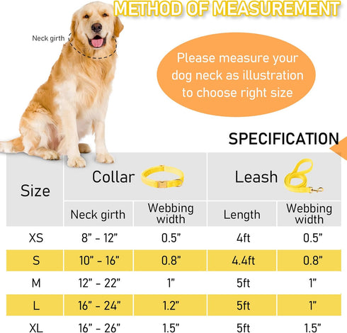 GAMUDA Velvet Dog Collar and Leash, Super Soft Heavy Duty with Gold Buckle, Adjustable Collar for Dog (XS, Yellow)