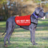 JXGZSO Nervous Dog Vest, Anxious Dog Slogan Warning Jacket, Do Not Pet, No Hand Sniffs, Size L