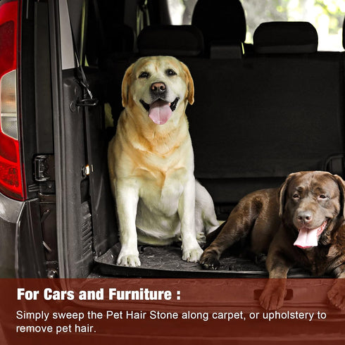 2 Pieces Pet Hair Remover, Pumice Stone Tool for Cat Hair Removal from Car Couch Furniture