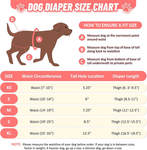 CZMIYRPY 3 Pack Female Dog Diapers Washable Dog Diapers Female Dog Diaper that Stay on Dog Diaper Female