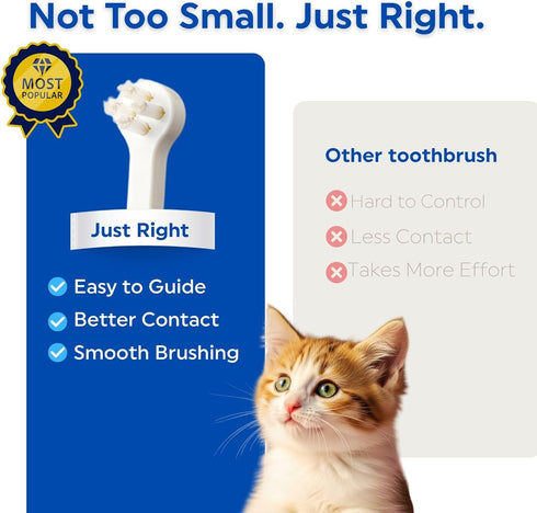 15 3EA MIND UP Cat Toothbrush with Micro Head, Angled Design for Easier Reach, Pet Toothbrush for Cats & Kittens