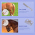 10pcs Set Horse Grooming Kit, Horse Brushes for Grooming Horse Cleaning Tool with Tote Bag, Sweat Scraper, Curry Comb