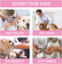 MCHY Inflatable Dog Cone - Adjustable Recovery Collar for Dogs After Surgery, Prevent Biting & Scratching (M, Pink)