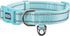 Reflective Nylon Dog Collar with Breathable Neoprene Padding,Adjustable for Small Dogs.(9.8"-15",Teal)
