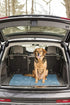 Dog Gone Smart Dirty Dog Microfiber Paw Doormat, Super Absorbent Mat Keeps Paws & Floors Clean, Medium Mist Grey