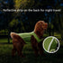 UPF 50+ Sun Protection Sports Fan Pet T-Shirts, Quick-Dry Soft Dog Clothes for Large Breed Dogs