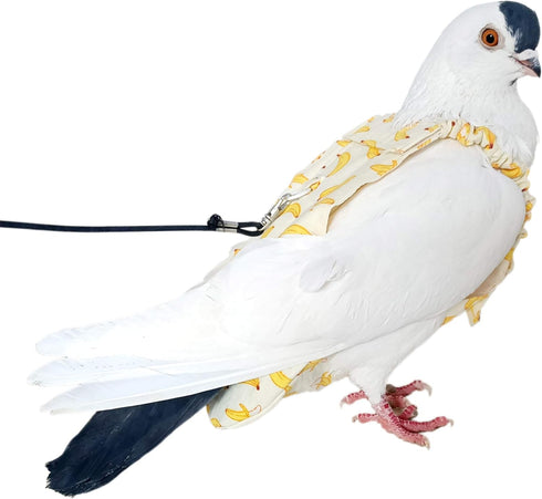 YUYUSO Pigeon Diaper with Leash for Pigeons over 5 Months Old