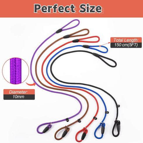 5 Pcs Slip Lead Dog Leash - Strong Nylon Rope Training Leash for Large, Medium, and Small Dogs