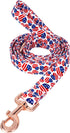 American Flag Dog Leash with Cute Heart Design, Durable Pet Leash with Metal Buckle for Small, Medium, Large Pets