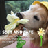 Interactive Dog Plush Toys, Crinkle Flower Rope Toy, Puppy Chew Toys for Teething, Cute Gift for Small and Medium Dogs