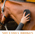 5pcs Soft Cleaning Sponges for Horse Grooming