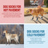 EXPAWLORER Anti Slip Dog Socks, Dog Shoes for Hot Pavement, Traction Control Boots for Small Medium Large Dogs