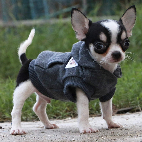 LOPHIPETS Dog Cotton Hoodies Sweatshirts for Small Dogs, Chihuahua Puppy Clothes, Charcoal/XS