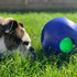 Jolly Pets Teaser Ball Dog Toy - Large 8 Inches, Blue, Model Number: 1508 BL
