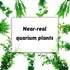Fish Tank Accessories, 10pcs Green Plastic Plants for Aquarium Decor and Fish Tank Decorations