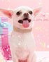 Adjustable Leather Suede Bling Dog Collar for Large Dogs, Pink Rhinestone Dog Collar Cat Collar (L, Pink)