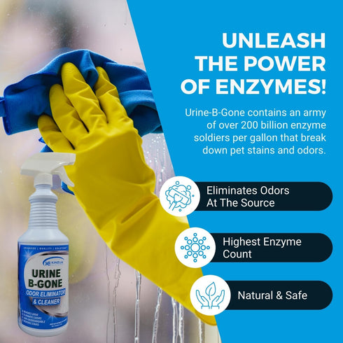 Urine B-Gone Professional Enzyme Odor Eliminator & Pet Stain Remover, 32oz, Effective on Carpets, Laundry & More