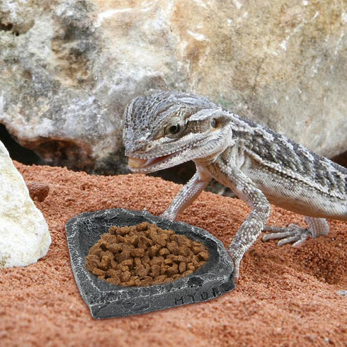 Reptile Bowls, 2 Pcs Feeding Dish with Clamp & Shovel, Resin Rock Water & Food Bowls for Reptiles