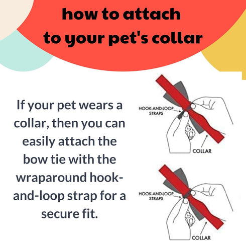 Huxley & Kent Bow Tie for Pets | Summer Icons (Small) | Velcro Bow Tie Collar Attachment for Dogs & Cats
