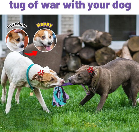 Interactive Dog Toys, Tough Rope Tug of War Toys for Aggressive Chewers, Dog Tug Toy for Small Medium Puppies