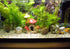 Aquarium Mushroom House, Fish Tank Cave Ornament for Pleco Caves and Fairy Garden Decorations
