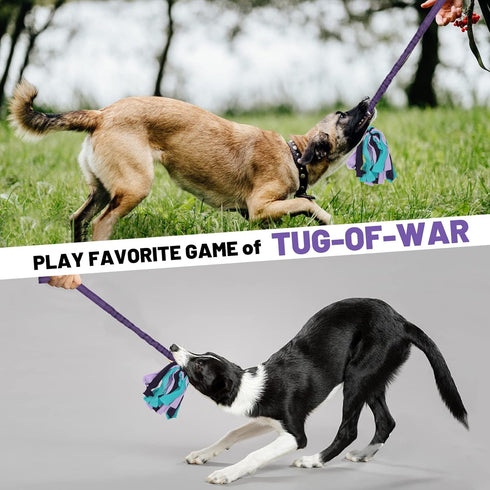 Interactive Dog Toys, Tough Rope Tug of War Toys for Aggressive Chewers, Dog Tug Toy for Small Medium Puppies