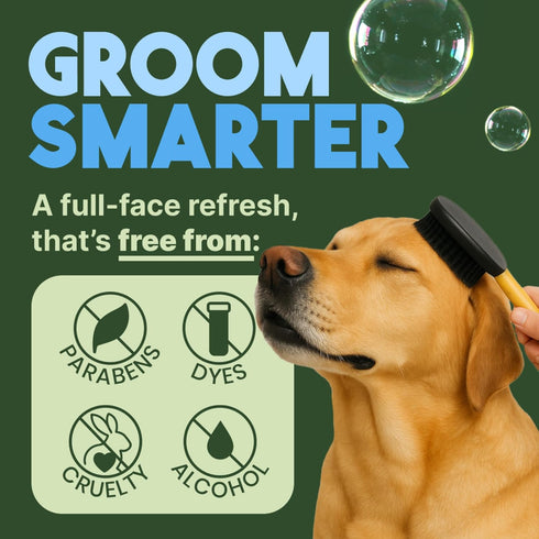 7.4oz TropiClean Hypoallergenic Waterless Dog Shampoo | Dry Shampoo for Allergies & Sensitive Skin | Safe for Cats |