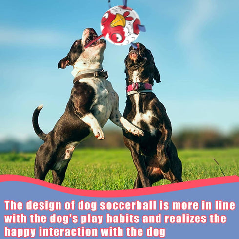 Chicken Dog Toys Soccer Ball with Straps, Interactive Tug of War Toy, Durable Water Toy for Dogs (8 Inch)