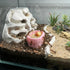 DQITJ 6 Pcs Jumping Spider Water Bowl Food Dish Micro Basket Decor for Hermit Crab Tarantula Snail Millipede Small