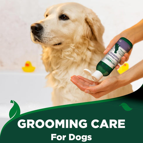 16 oz Vet's Best Hypo-Allergenic Shampoo for Dogs | Dog Shampoo for Sensitive Skin | Relieves Discomfort from Dry
