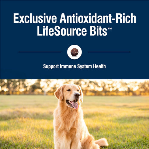 Blue Buffalo True Solutions Perfect Skin & Coat Natural Dry Dog Food, Salmon, 11-lb. Bag