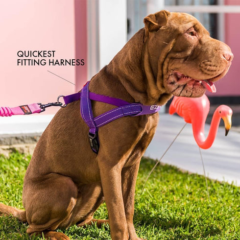 EzyDog Premium Quick Fit Adjustable Dog Harness Vest - Perfect for Training and Walking, Padded for Comfort (X-Small,