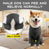 Dog Onesie After Surgery Recovery Suit for Small Medium Large Dogs, Surgical Anxiety Body Suits