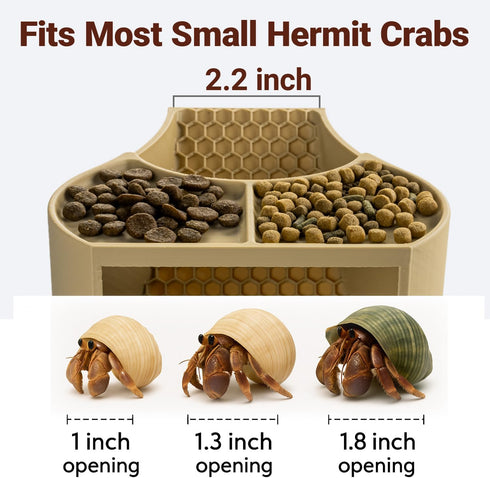 HERPDEN 2-in-1 Setup Hermit Crab Habitat Shelter with Dual Food Bowls, Cave Shelter & Feeding Dish, Textured Climbing