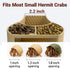 HERPDEN 2-in-1 Setup Hermit Crab Habitat Shelter with Dual Food Bowls, Cave Shelter & Feeding Dish, Textured Climbing