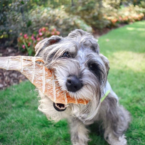 Chicken Jerky - Dog Treats Made in USA, 1 Ingredient USDA Grade A Chicken Breast, 8 Ounces