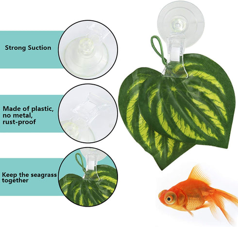 SLSON Aquarium Accessories for Fish Tank - Fishes Veggie Seaweed Plant Suction Cup Clip Feeding Tool (4 Pack
