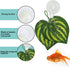SLSON Aquarium Accessories for Fish Tank - Fishes Veggie Seaweed Plant Suction Cup Clip Feeding Tool (4 Pack