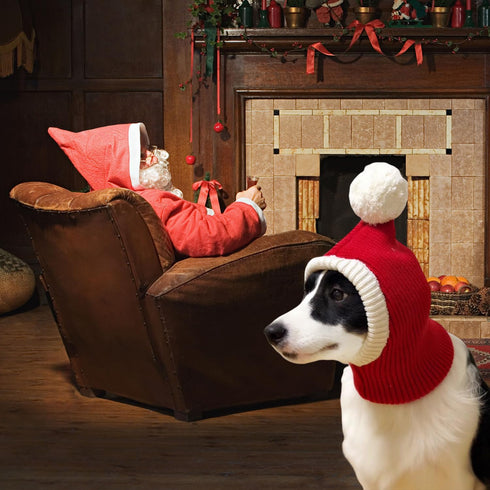 Christmas Dog Hat Costume for Large Medium Dog - Warm Winter Neck Ear Warmer Protector (Small, Red)