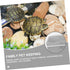Turtle Tank Escape net Fish Separator net aquatainer mesh Fruit Bags DIY Aquarium Tree Faces Decor by Hohopeti