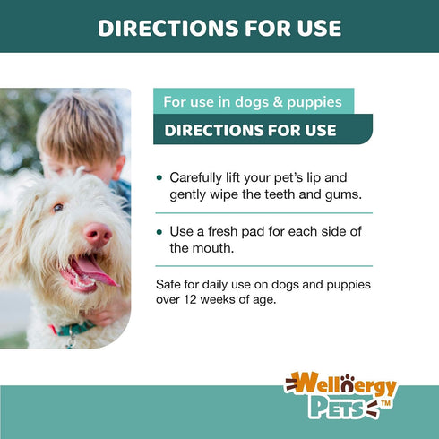 Dental Wipes for Dogs and Cats, No Brush Formula for Oral Hygiene, Fresh Mint Flavor, 100 Wipes
