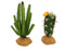 JIHAQUA Reptile Plants Succulent, Artificial Desert Rain Forests Plants for Lizard Bearded Dragon