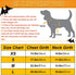 Dog Costume Pirates of The Caribbean Style - Funny Halloween Cosplay for Small to Medium Dogs & Cats, Corsair Dress Up