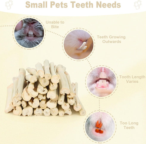 Petawi 500g Chinchilla Chinchilla Sweet Bamboo Chew Sticks Natural Rabbit Guinea Pig Chews Sticks Toys for Teeth Bunny