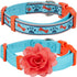 Blueberry Pet Pack of 2 Multiple Patterns Mix and Match Sky Blue Adjustable Dog Collar with Detachable Orange Flower Accessory, Medium, Neck 14.5"-20"