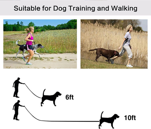 10ft Mint Blue Dog Leash, Long Line Training Leash for Large, Medium and Small Dogs, Great for Parks and Fetch