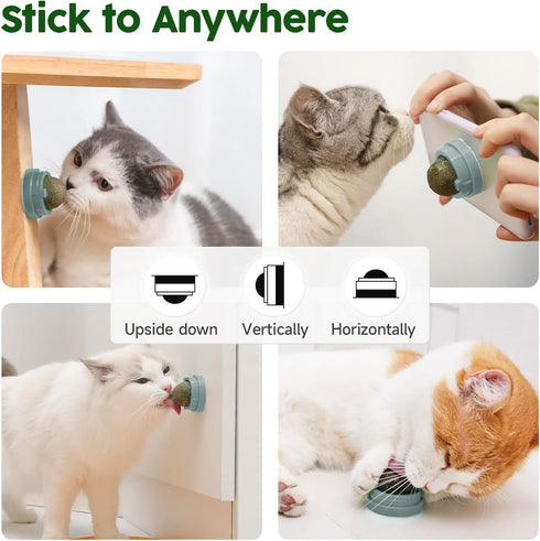 Potaroma 4 Pcs Catnip Ball Toys - 3 Silvervine Catnip Toys and 1 Edible Cat Energy Ball for All Breeds